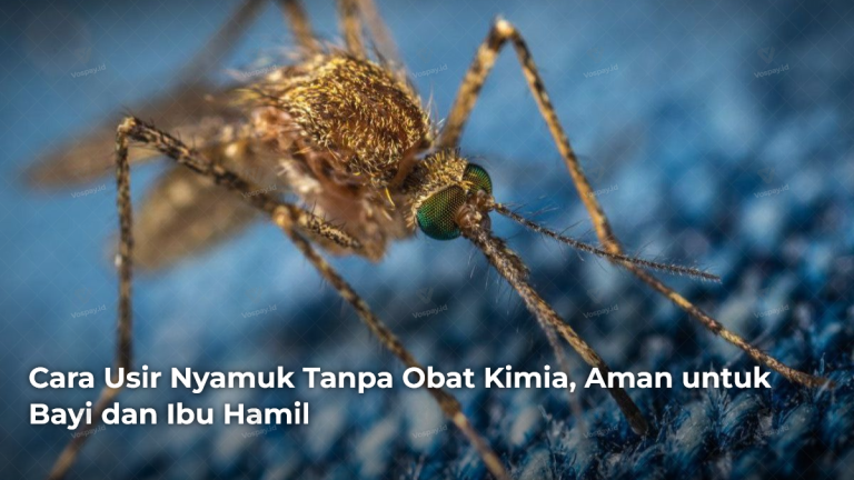 cara-usir-nyamuk-tanpa-obat-kimia-aman-untuk-bayi-dan-ibu-hamil